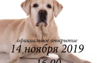 Выставка Ирины Давыдовой Выставка Ирины Давыдовой